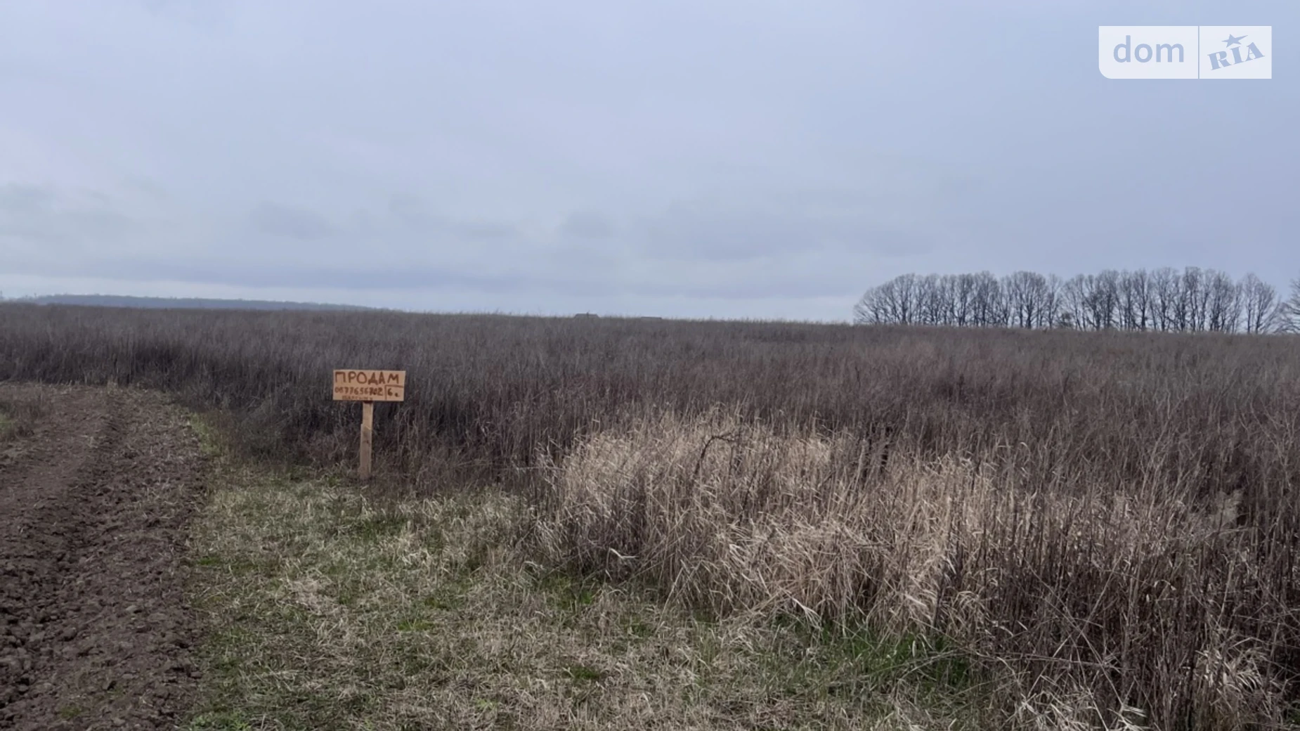 Агрономичное, цена: 17000 $ - фото 4