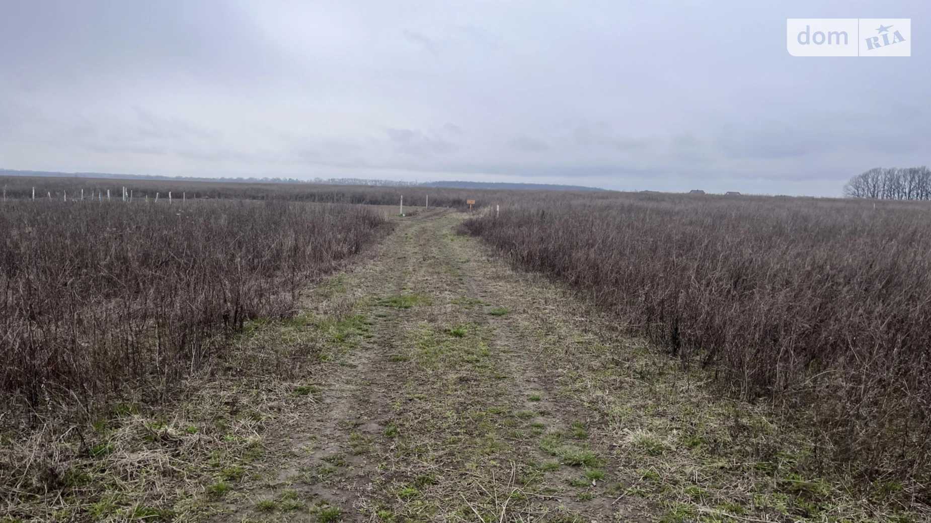 Агрономичное, цена: 17000 $ - фото 5