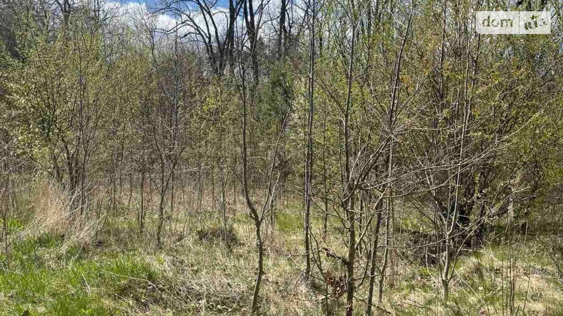 Здається в оренду земельна ділянка 3 соток у Вінницькій області, цена: 10901 грн - фото 2