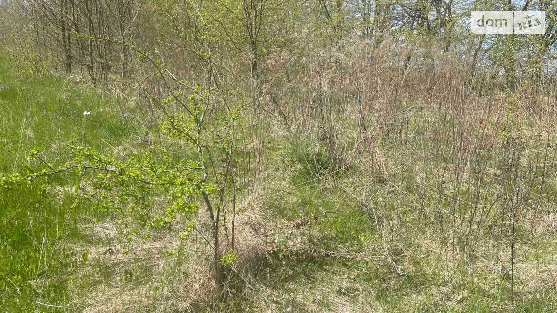 Здається в оренду земельна ділянка 2.5 соток у Вінницькій області, цена: 9084 грн - фото 2