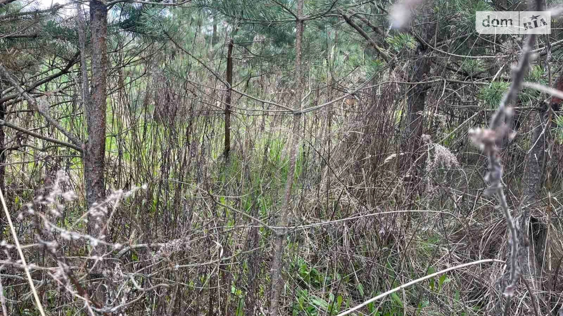 Здається в оренду земельна ділянка 2.5 соток у Вінницькій області, цена: 9084 грн - фото 3