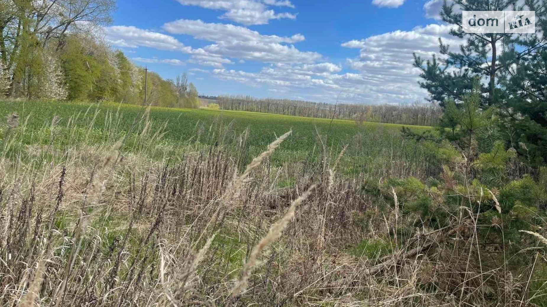 Здається в оренду земельна ділянка 2.5 соток у Вінницькій області, цена: 9084 грн - фото 4