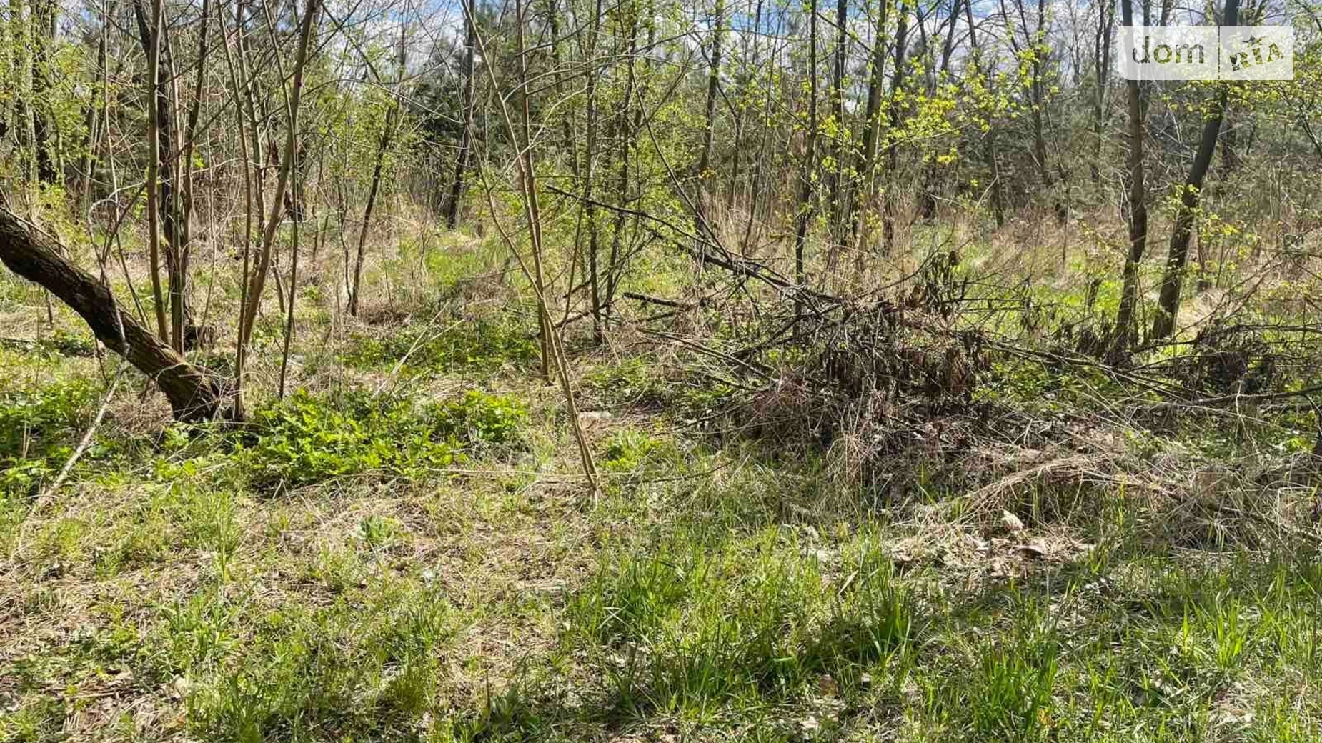 Здається в оренду земельна ділянка 3 соток у Вінницькій області, цена: 10901 грн - фото 4