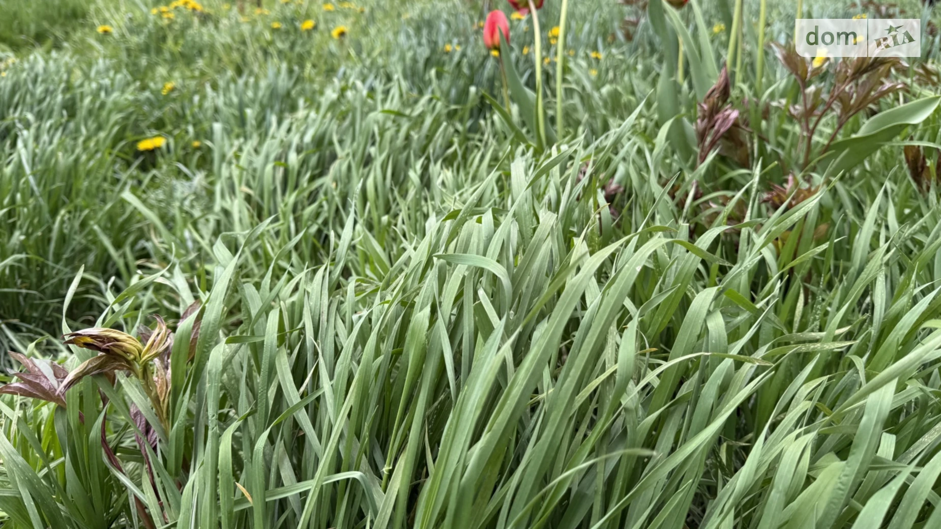 Продається земельна ділянка 4.5 соток у Вінницькій області, цена: 80000 $ - фото 3