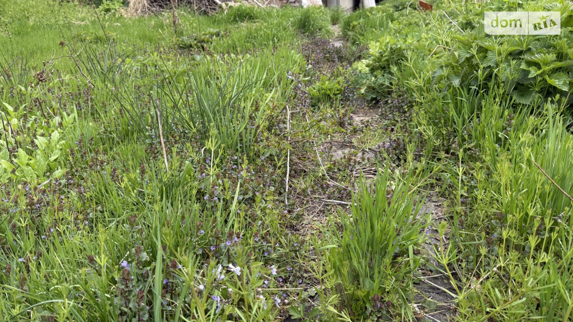 Продається земельна ділянка 4.5 соток у Вінницькій області, цена: 80000 $ - фото 5