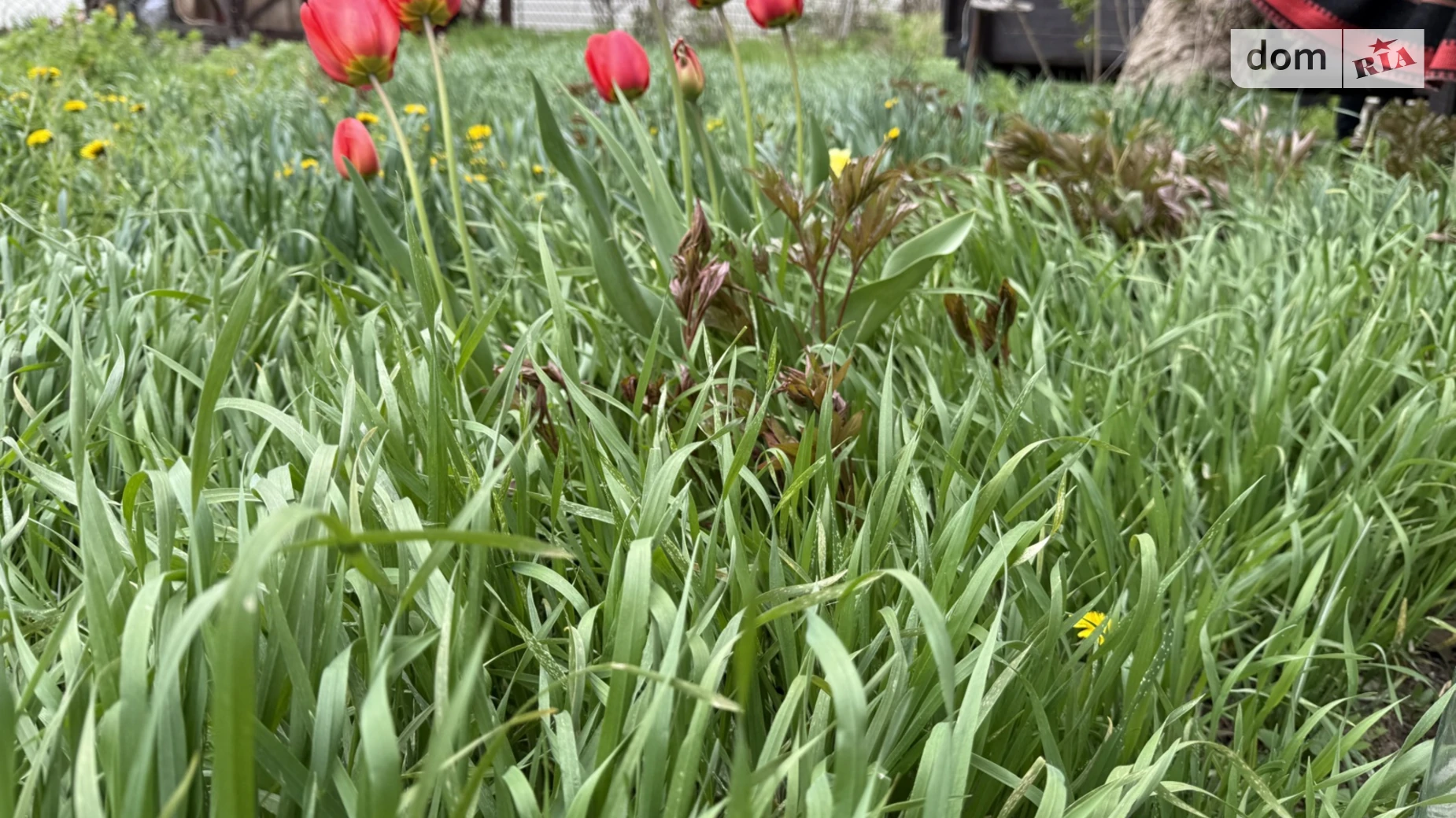 Продається земельна ділянка 4.5 соток у Вінницькій області, цена: 80000 $ - фото 5