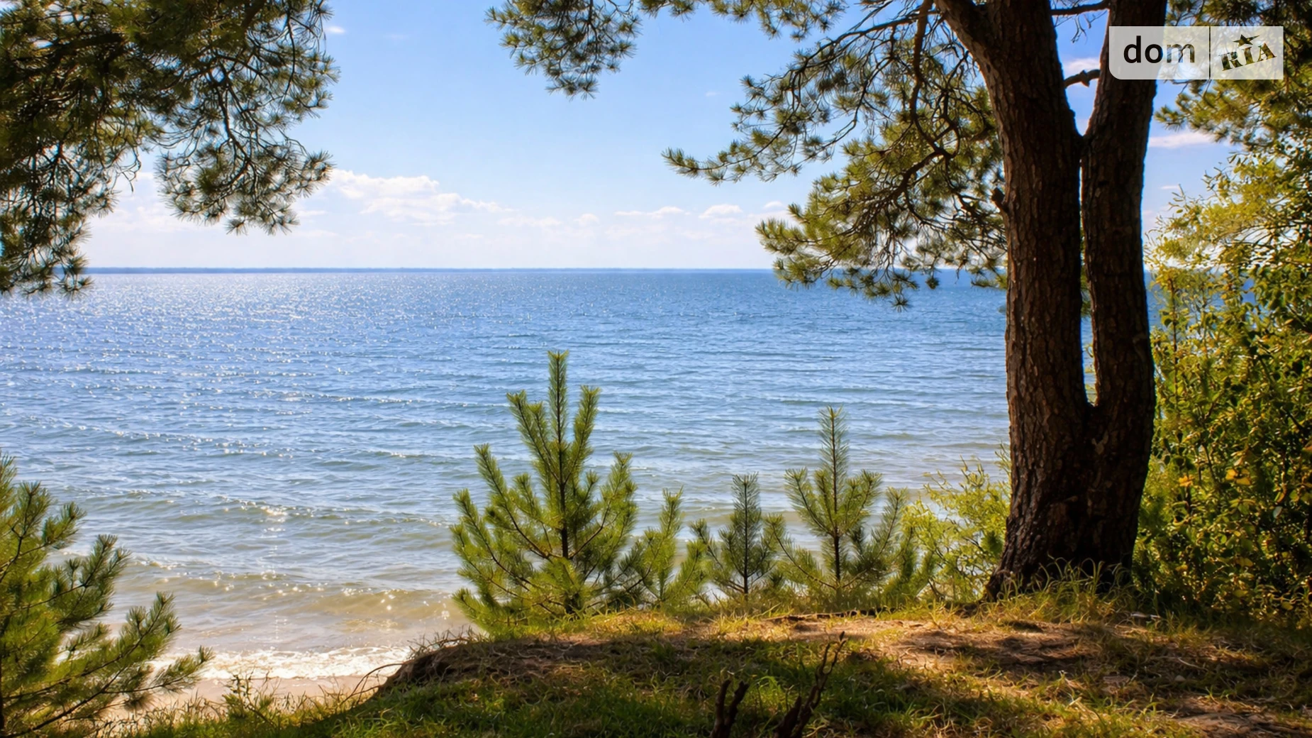 Ясногородка (Вышгород), цена: 2000000 $ - фото 3