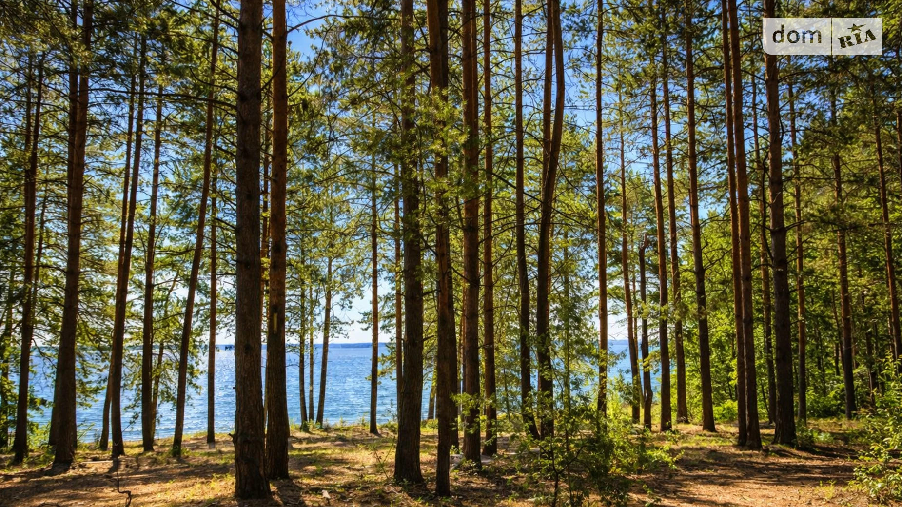 Ясногородка (Вышгород), цена: 2000000 $ - фото 4