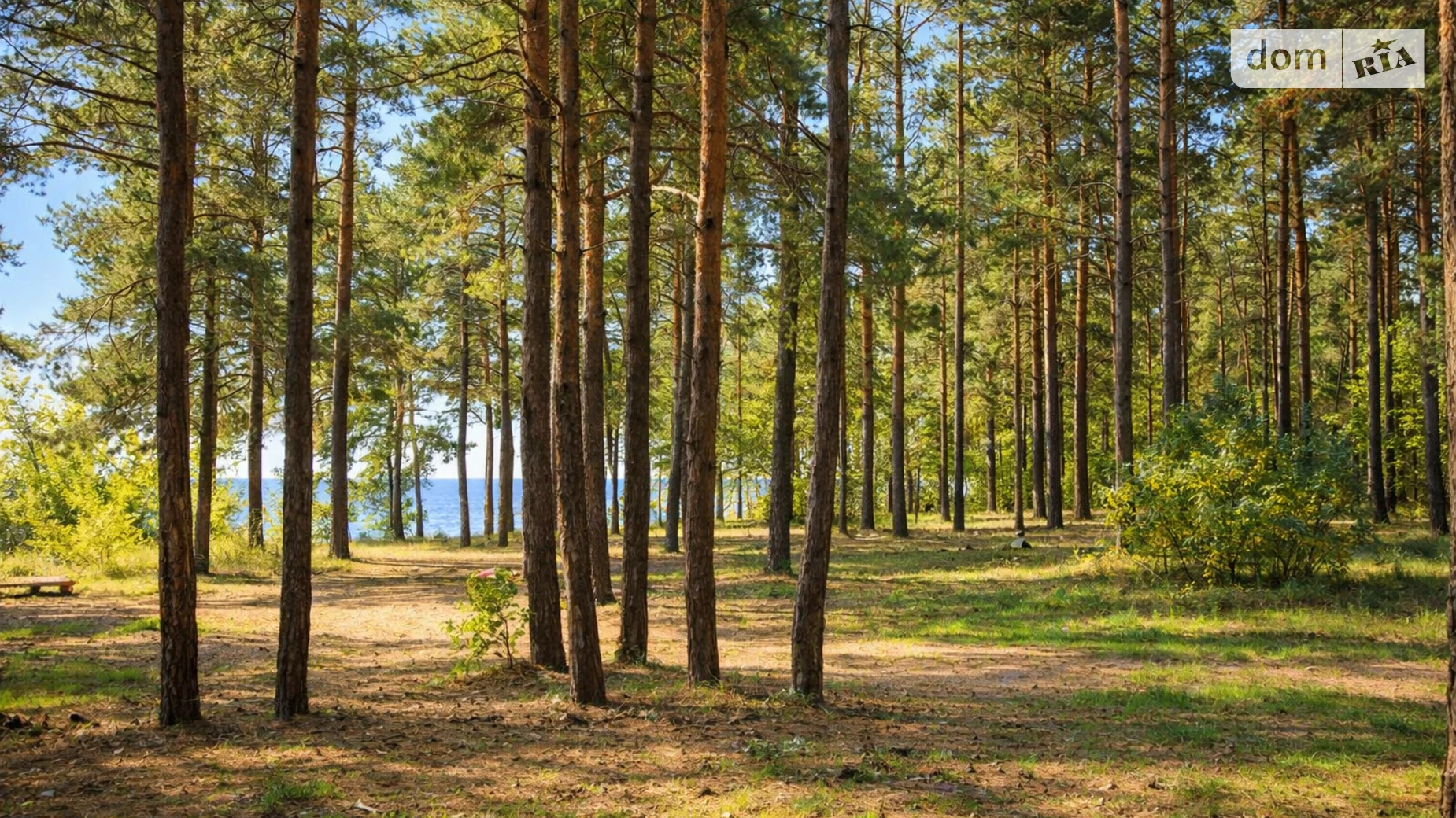 Ясногородка (Вышгород), цена: 2000000 $ - фото 5