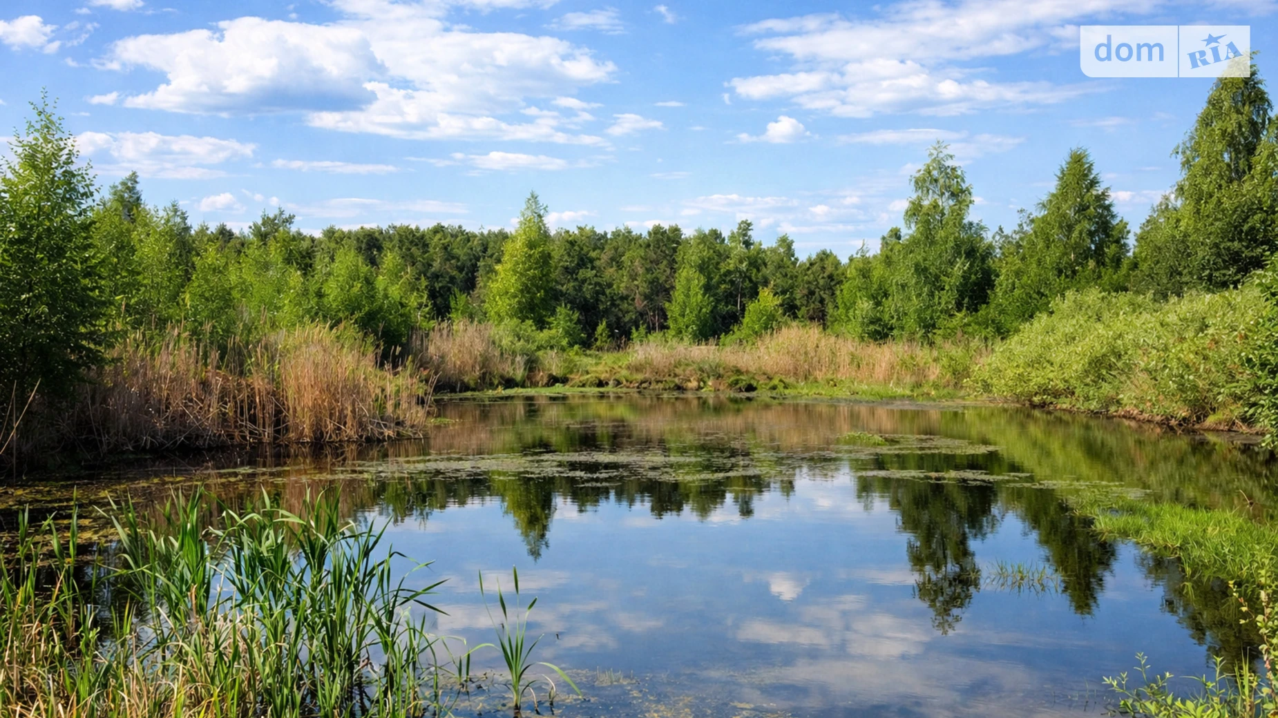 Ясногородка (Вышгород), цена: 372000 $ - фото 3