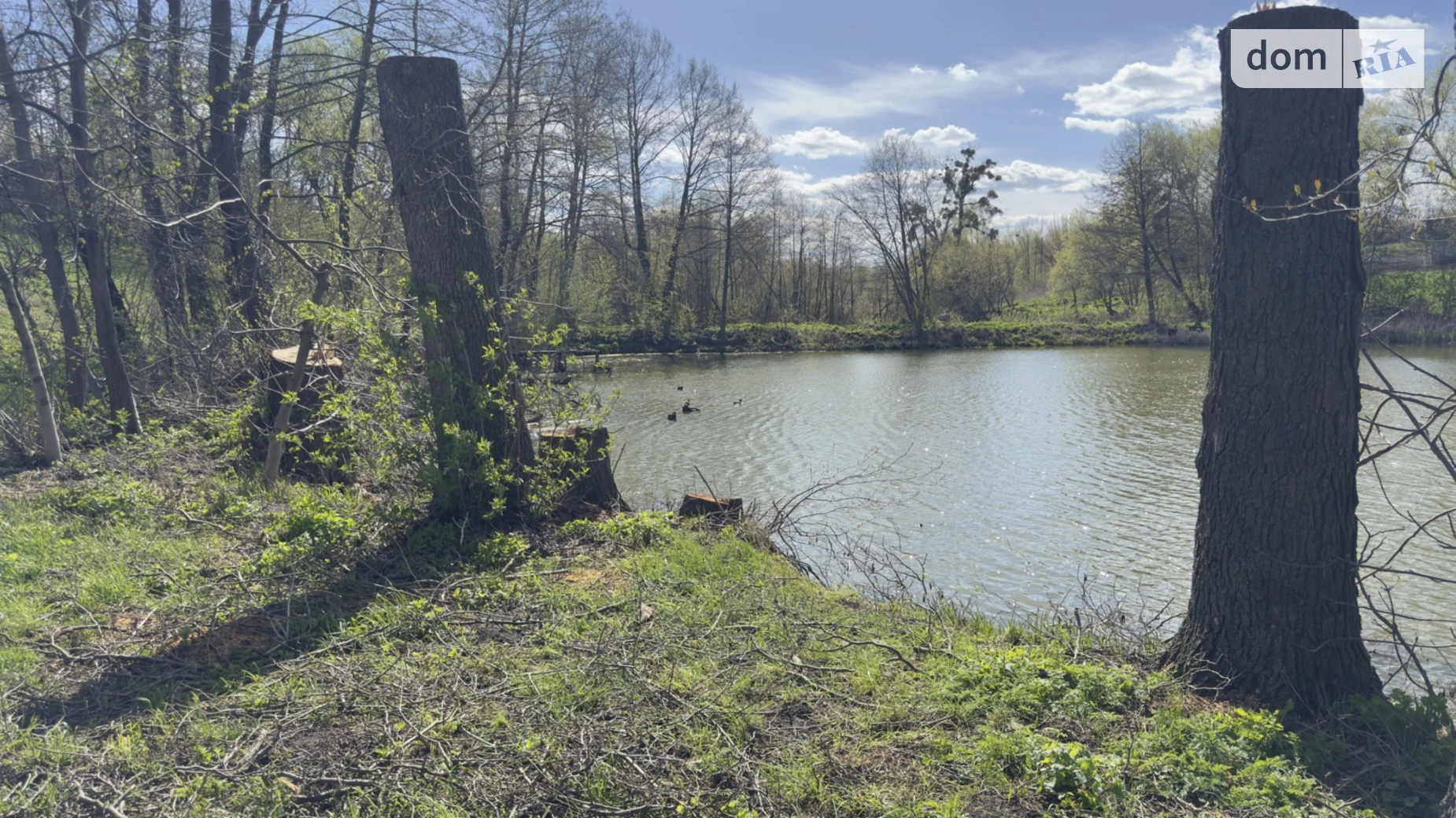 ул. Леси Украинки Гавришовка, цена: 35000 $ - фото 2