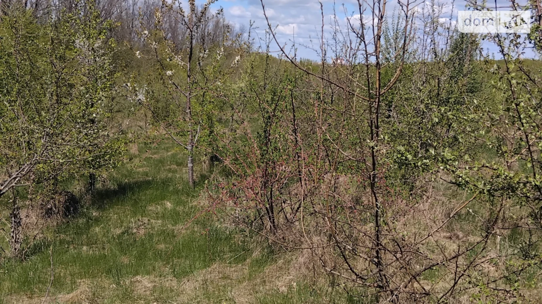 Продається земельна ділянка 6 соток у Вінницькій області, цена: 10000 $ - фото 2