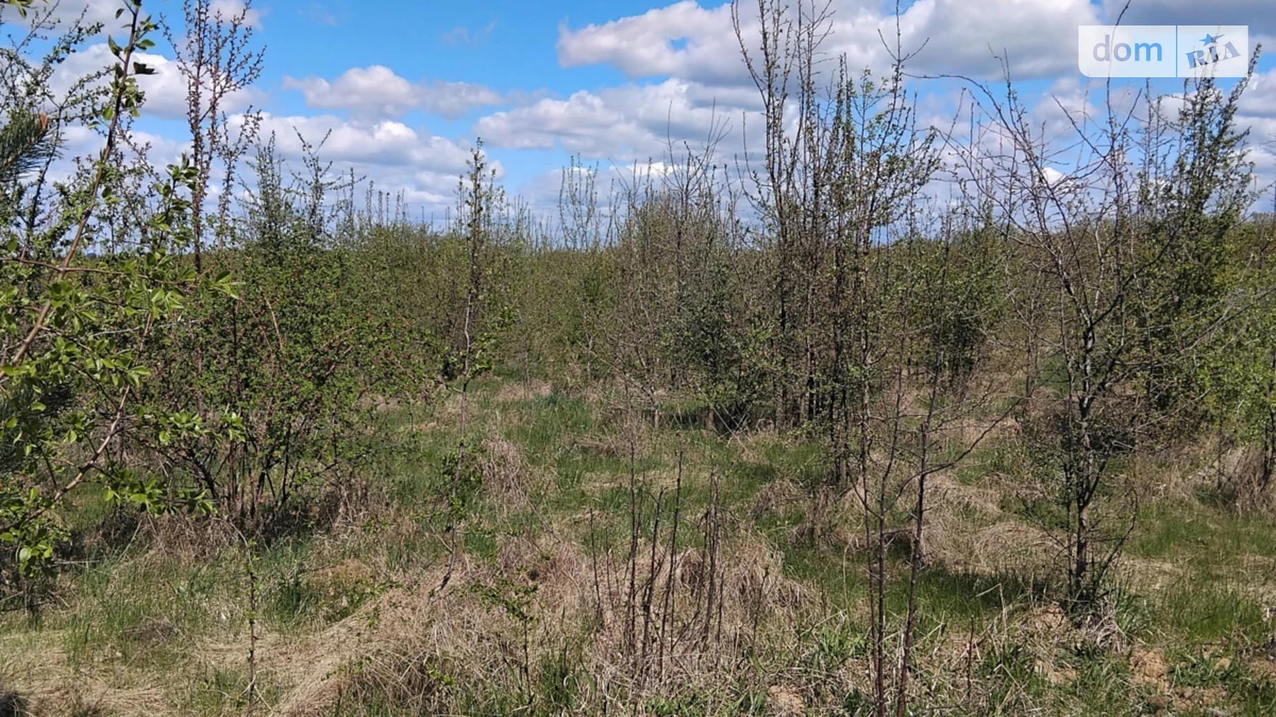 Продається земельна ділянка 6 соток у Вінницькій області, цена: 10000 $ - фото 5
