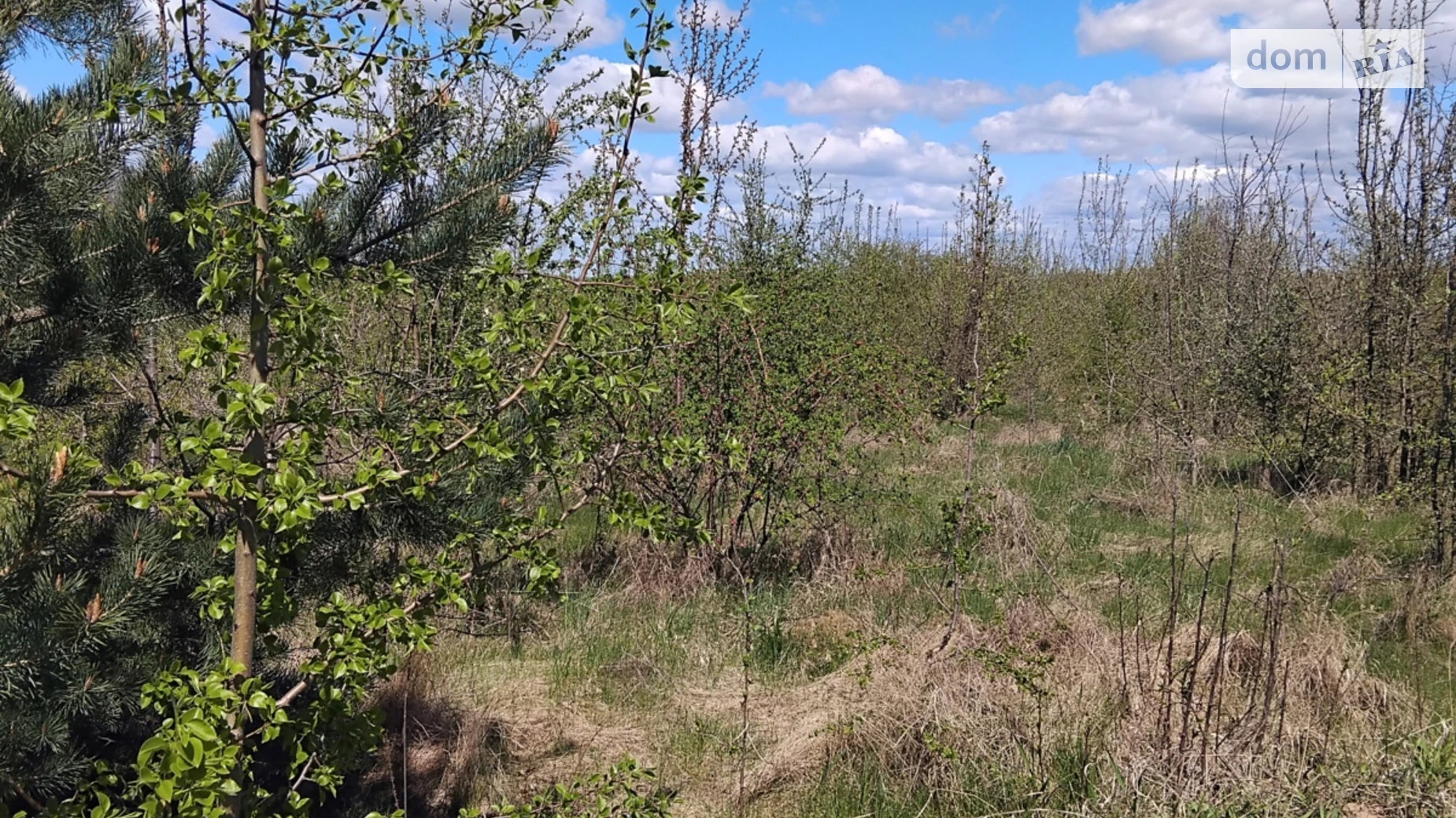 Продається земельна ділянка 6 соток у Вінницькій області, цена: 10000 $ - фото 4