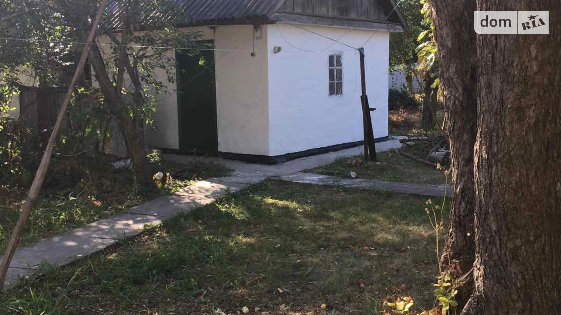 Київська Золотоноша, цена: 8200 $ - фото 2