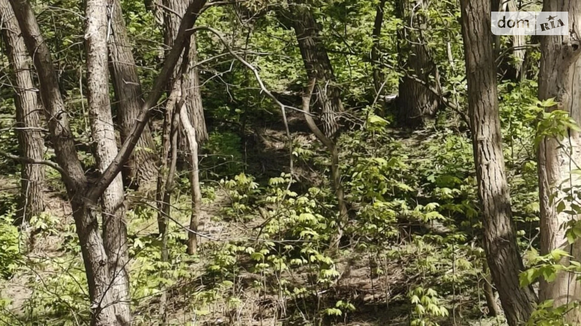 Продается земельный участок 10 соток в Киевской области, цена: 199000 $ - фото 3