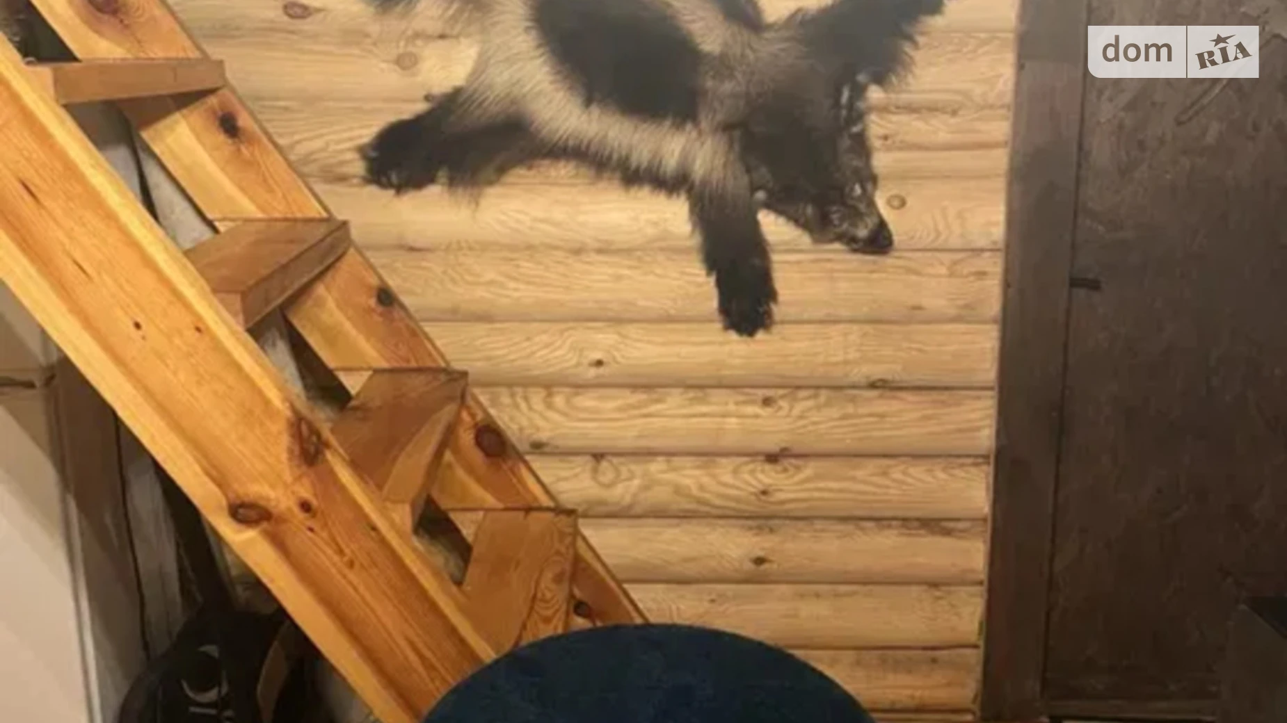 ул. Староднепровская(Воронежская), 11А Хортицкий Запорожье, цена: 28000 $ - фото 4