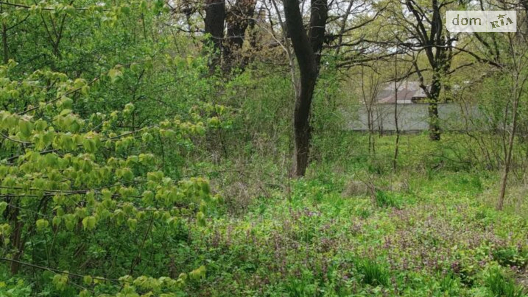 Сдается в аренду земельный участок 0.3684 соток в Полтавской области, цена: 32000 грн - фото 2