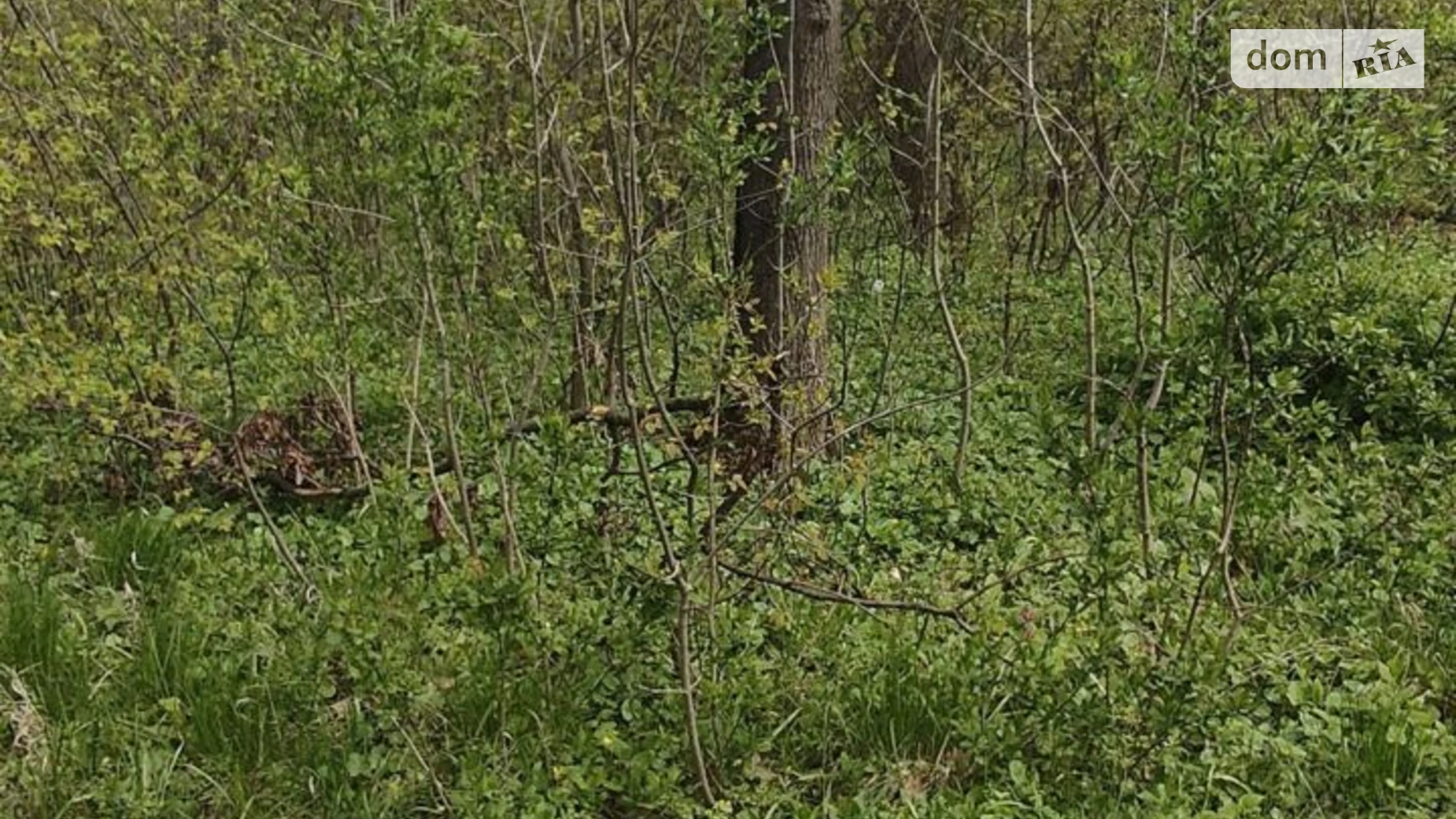 Сдается в аренду земельный участок 0.3684 соток в Полтавской области, цена: 32000 грн - фото 4