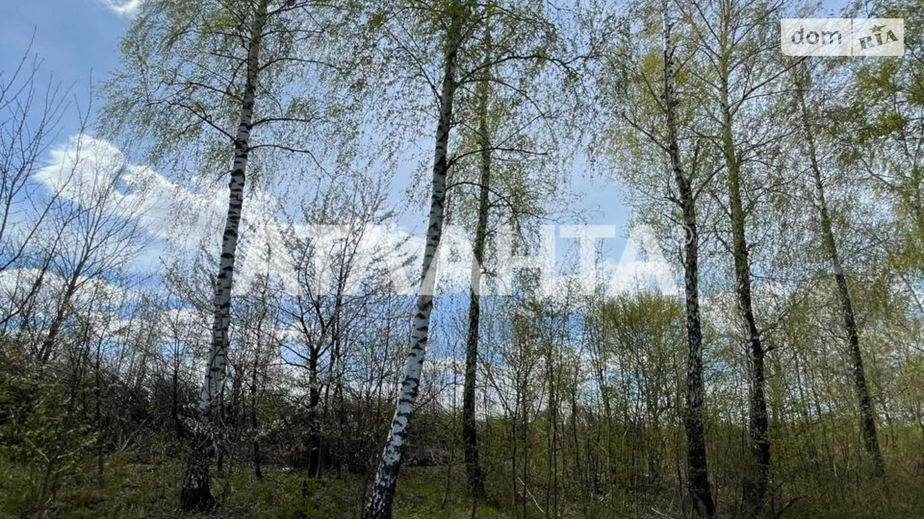 Продается земельный участок 10 соток в Винницкой области, цена: 10000 $ - фото 5