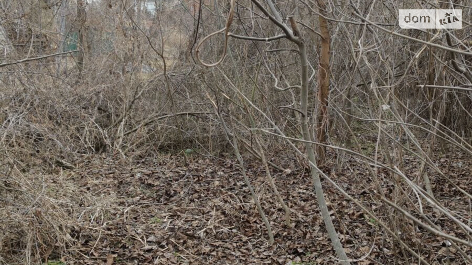 Полтава, цена: 35500 грн - фото 2