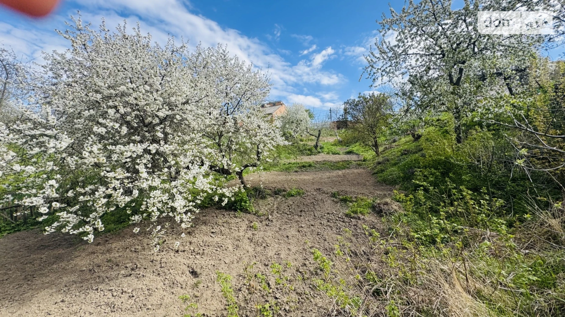 ул. Синеводская(Маяковского) Старый город Винница, цена: 42000 $ - фото 2