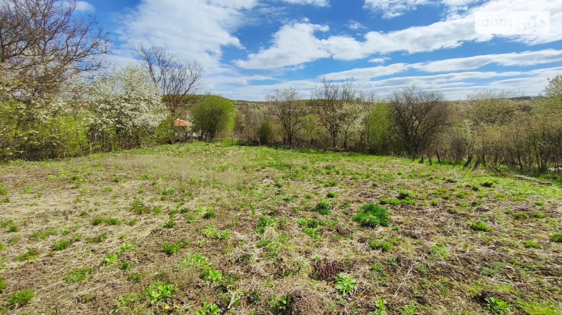 Продається земельна ділянка 8 соток у Хмельницькій області, цена: 12000 $ - фото 5