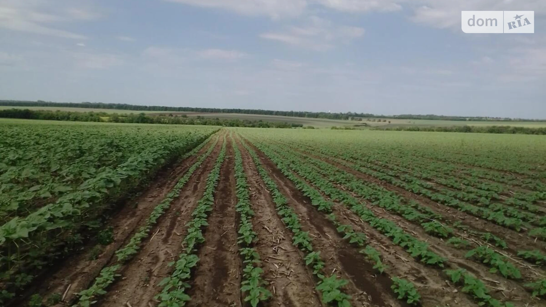 Новониколаевка, цена: 16082 $ - фото 3