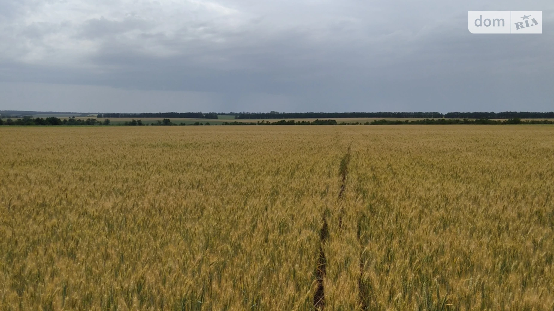 Новониколаевка, цена: 16082 $ - фото 2