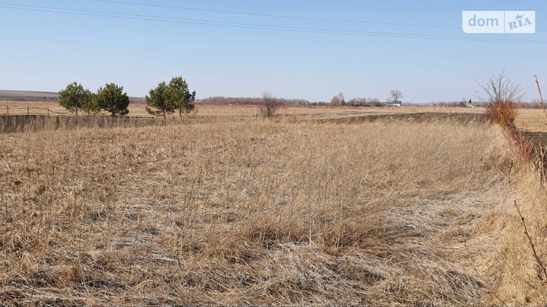 Продається земельна ділянка 25 соток у Івано-Франківській області, цена: 6250 $ - фото 3