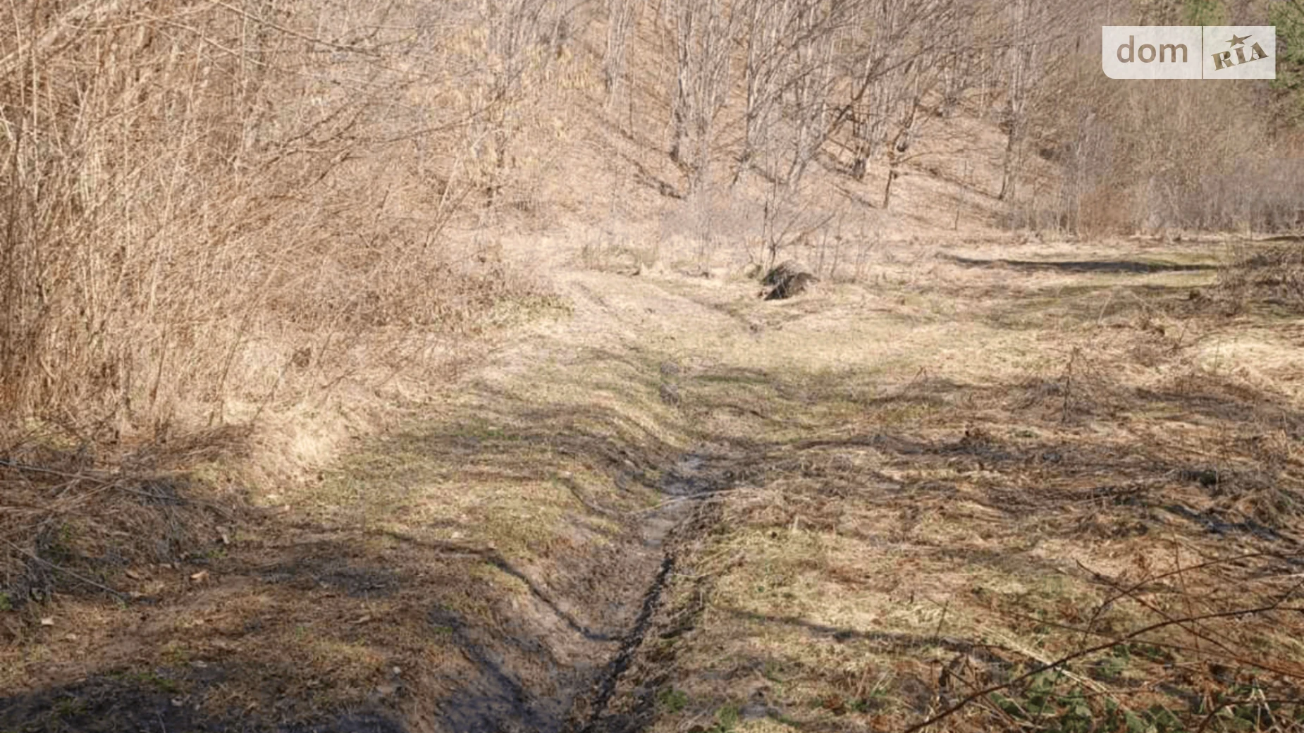 Мокра, цена: 162 грн - фото 3
