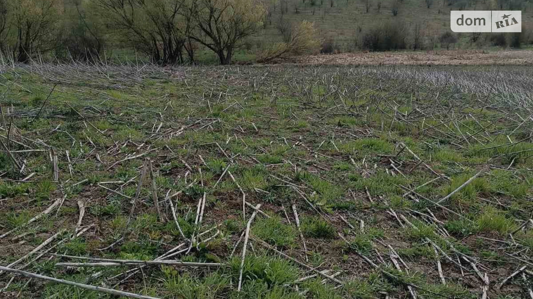 Борсуки, цена: 35855 грн - фото 3