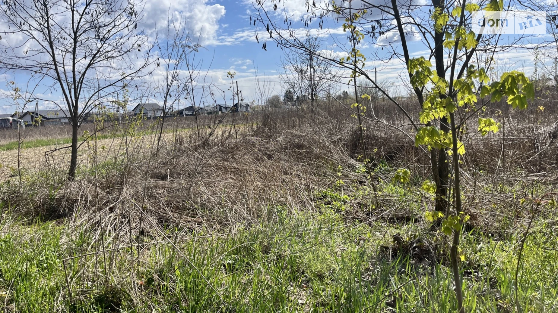 Бохоники, цена: 20000 $ - фото 3