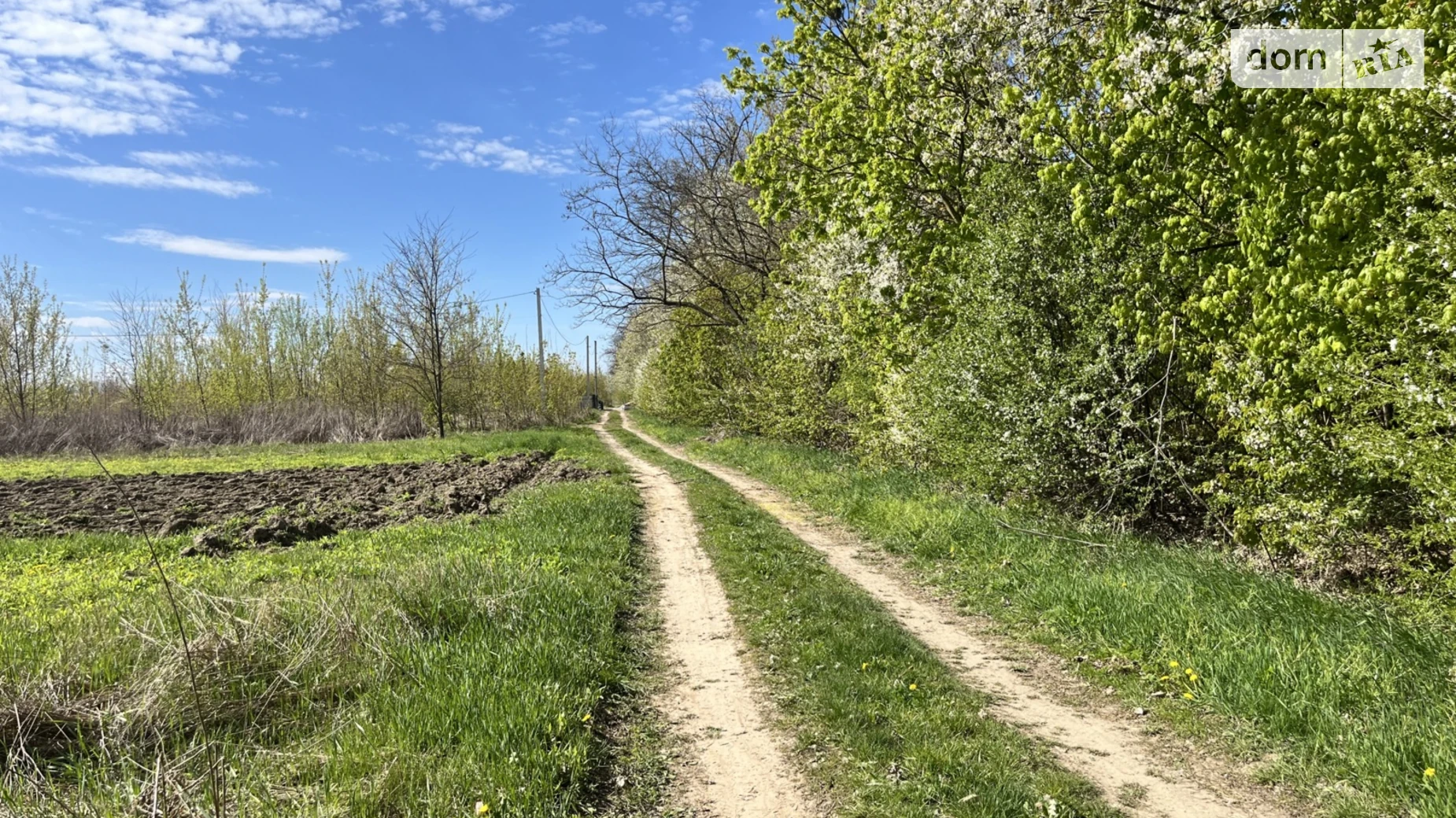 Бохоники, цена: 20000 $ - фото 5