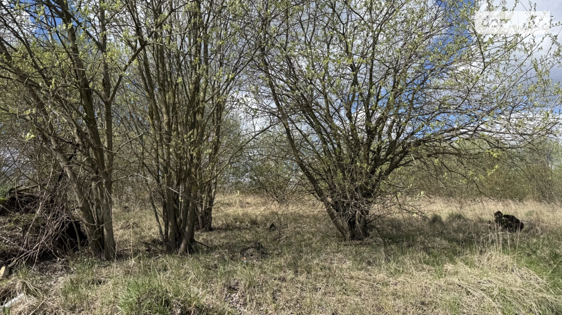 Продается земельный участок 10 соток в Хмельницкой области, цена: 65000 $ - фото 2