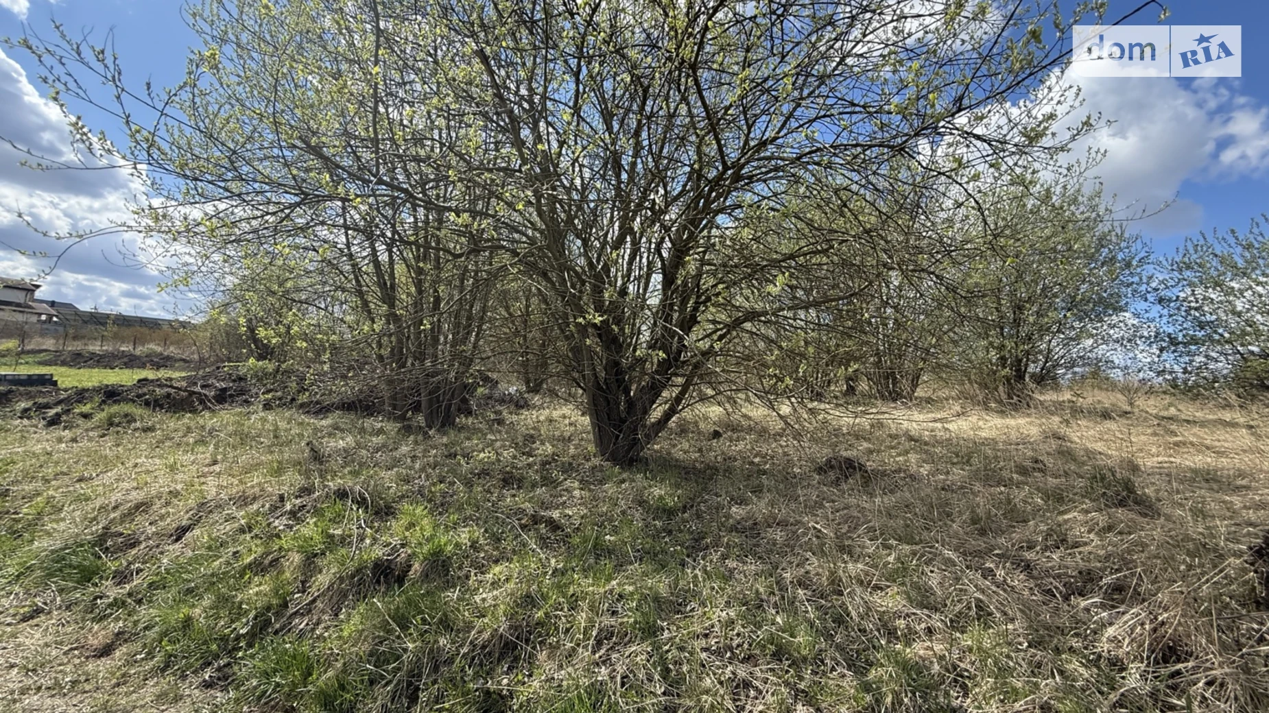 Продается земельный участок 10 соток в Хмельницкой области, цена: 65000 $ - фото 3