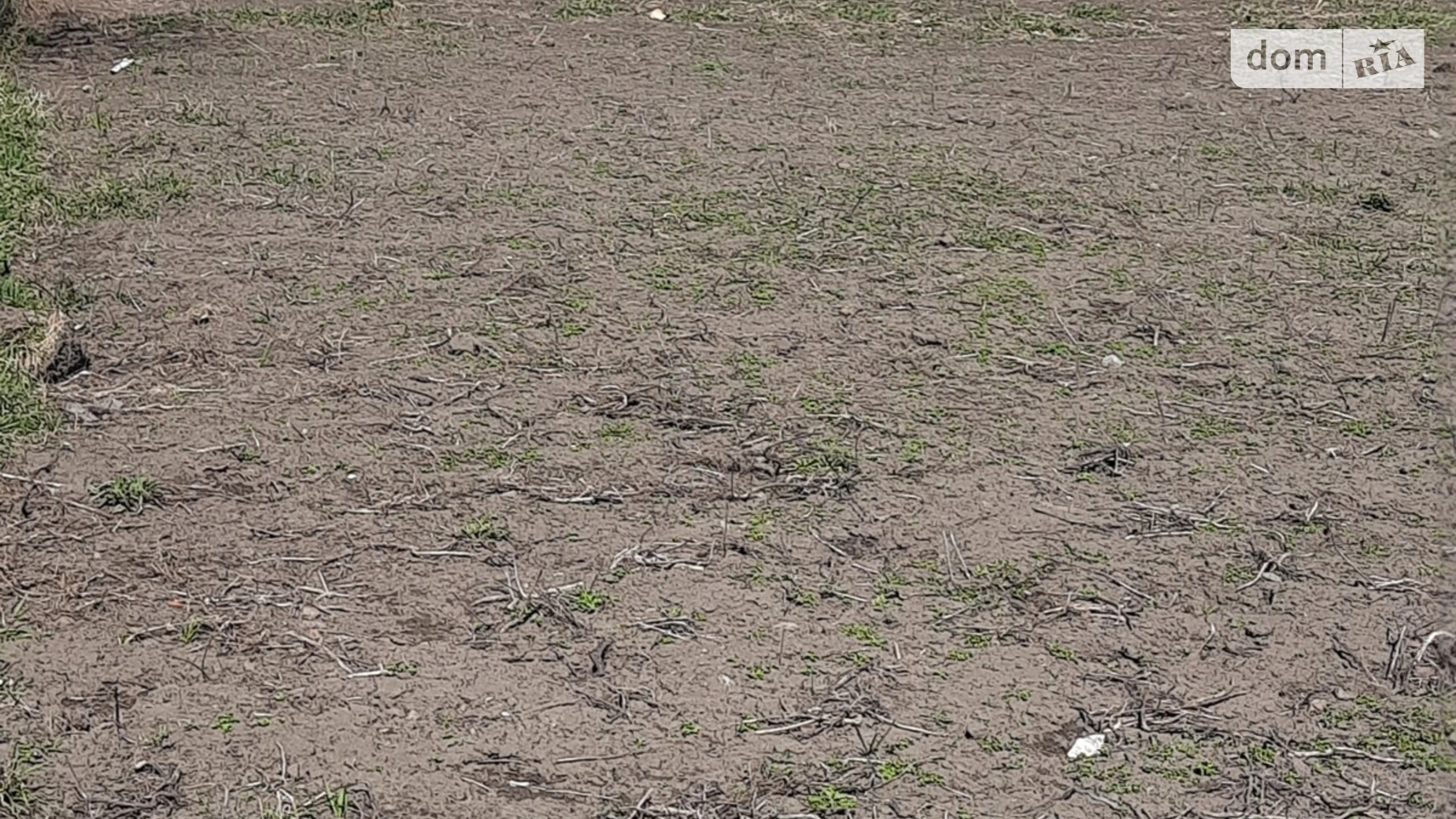 Продается земельный участок 24 соток в Житомирской области, цена: 4200 $ - фото 4