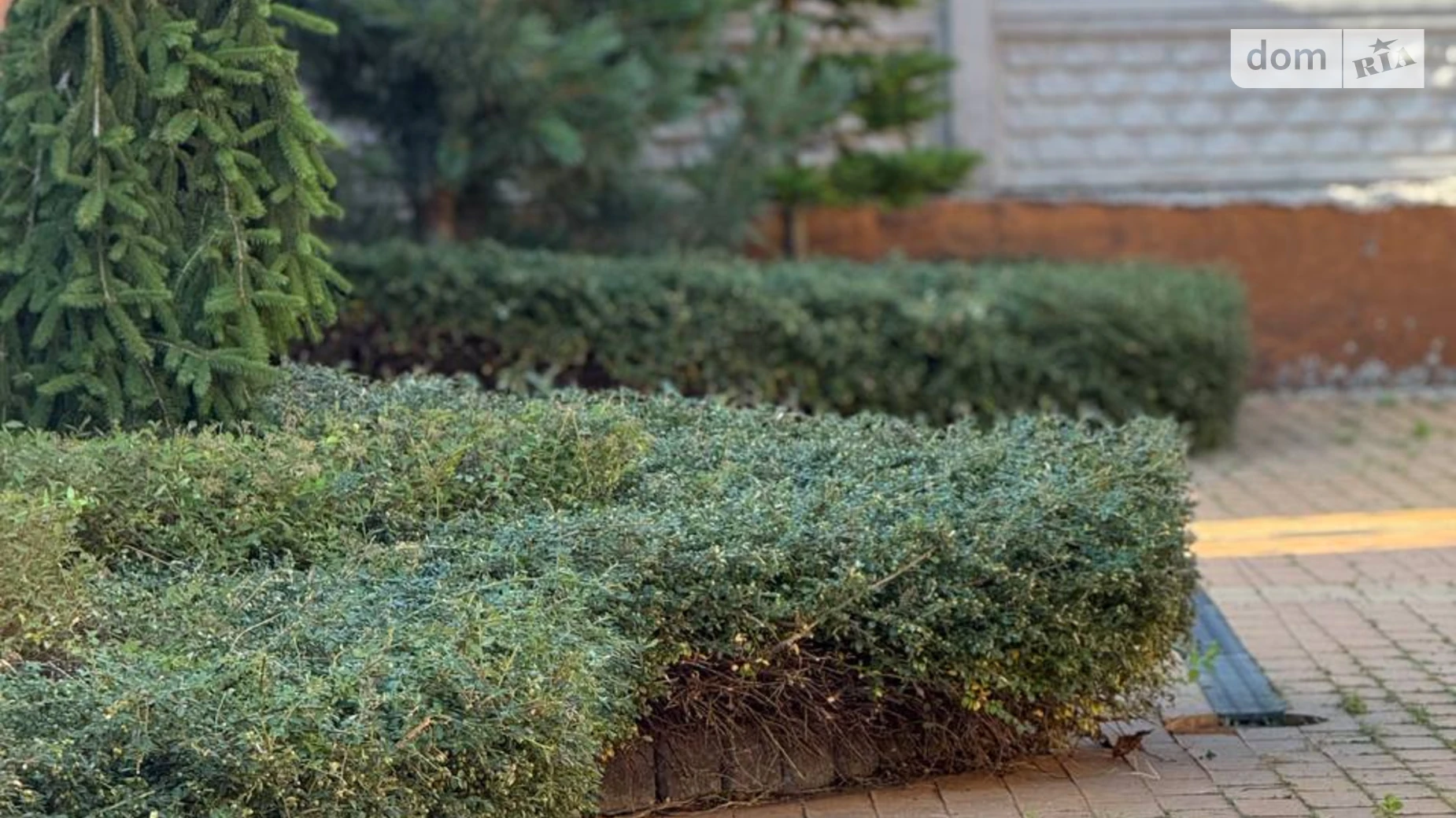 Сдается в аренду дом на 2 этажа 320 кв. м с бассейном, цена: 2500 $ - фото 5