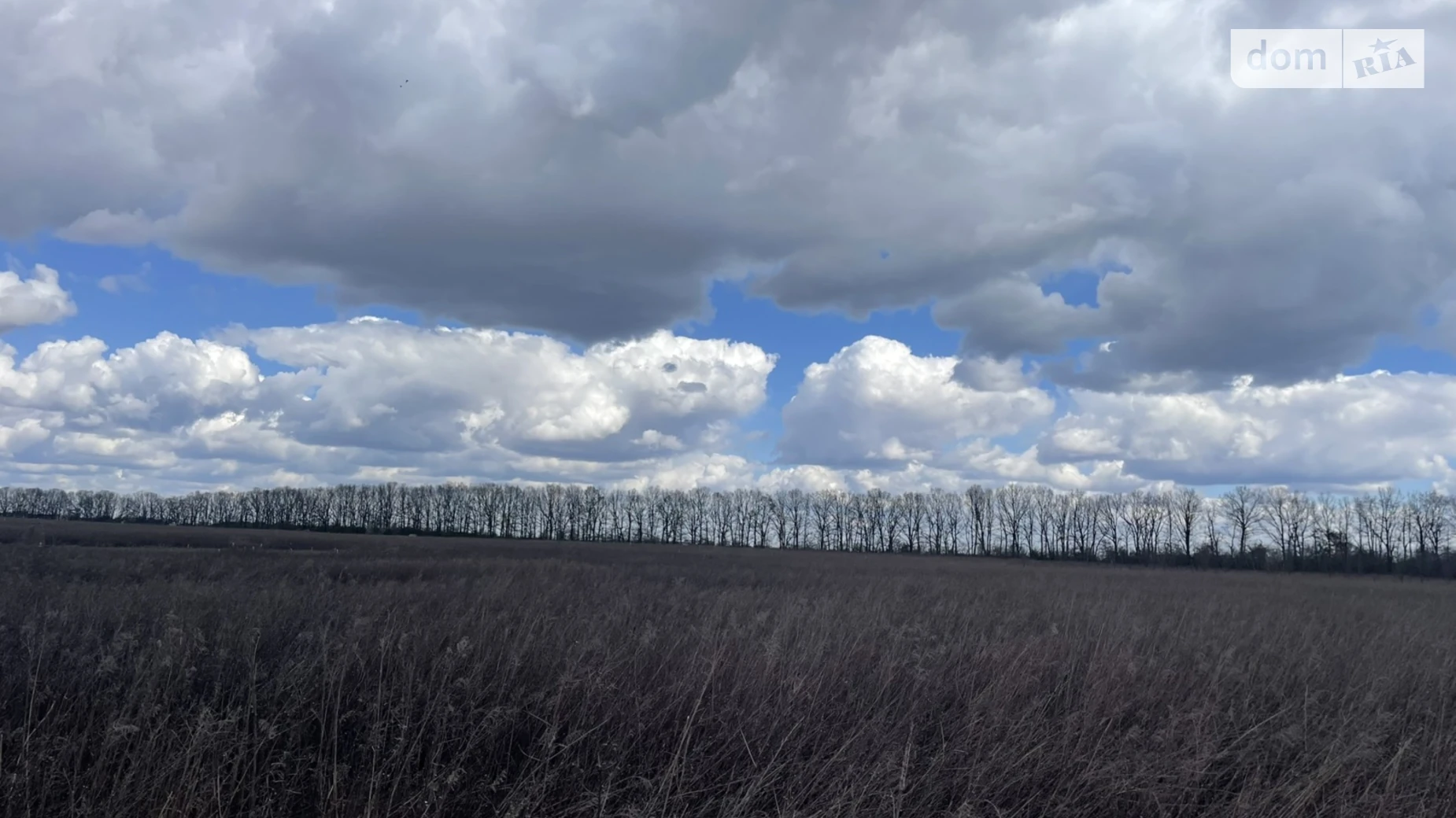 Агрономичное, цена: 15300 $ - фото 3