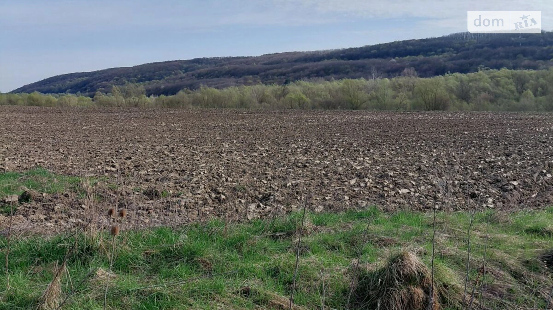 Ямница, цена: 6595 грн - фото 2