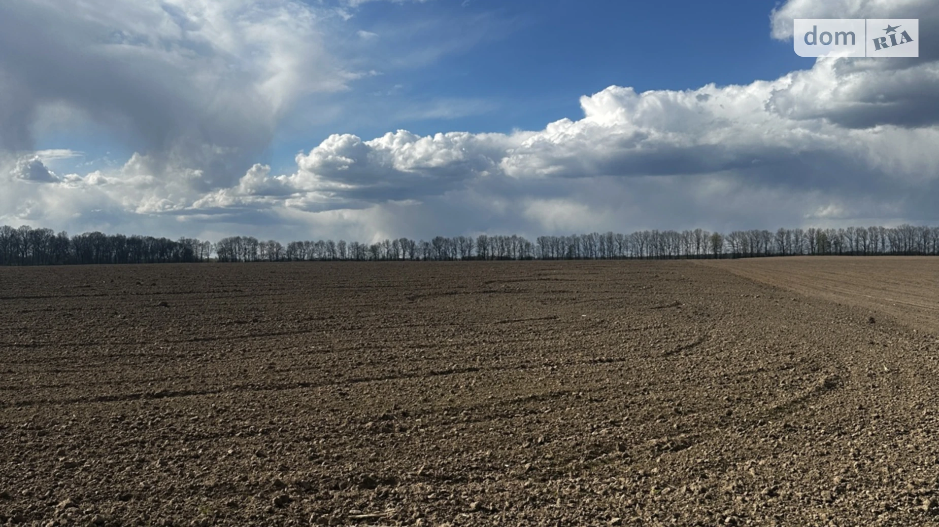 вул. Грушевского Стрижавка, цена: 257600 $ - фото 3