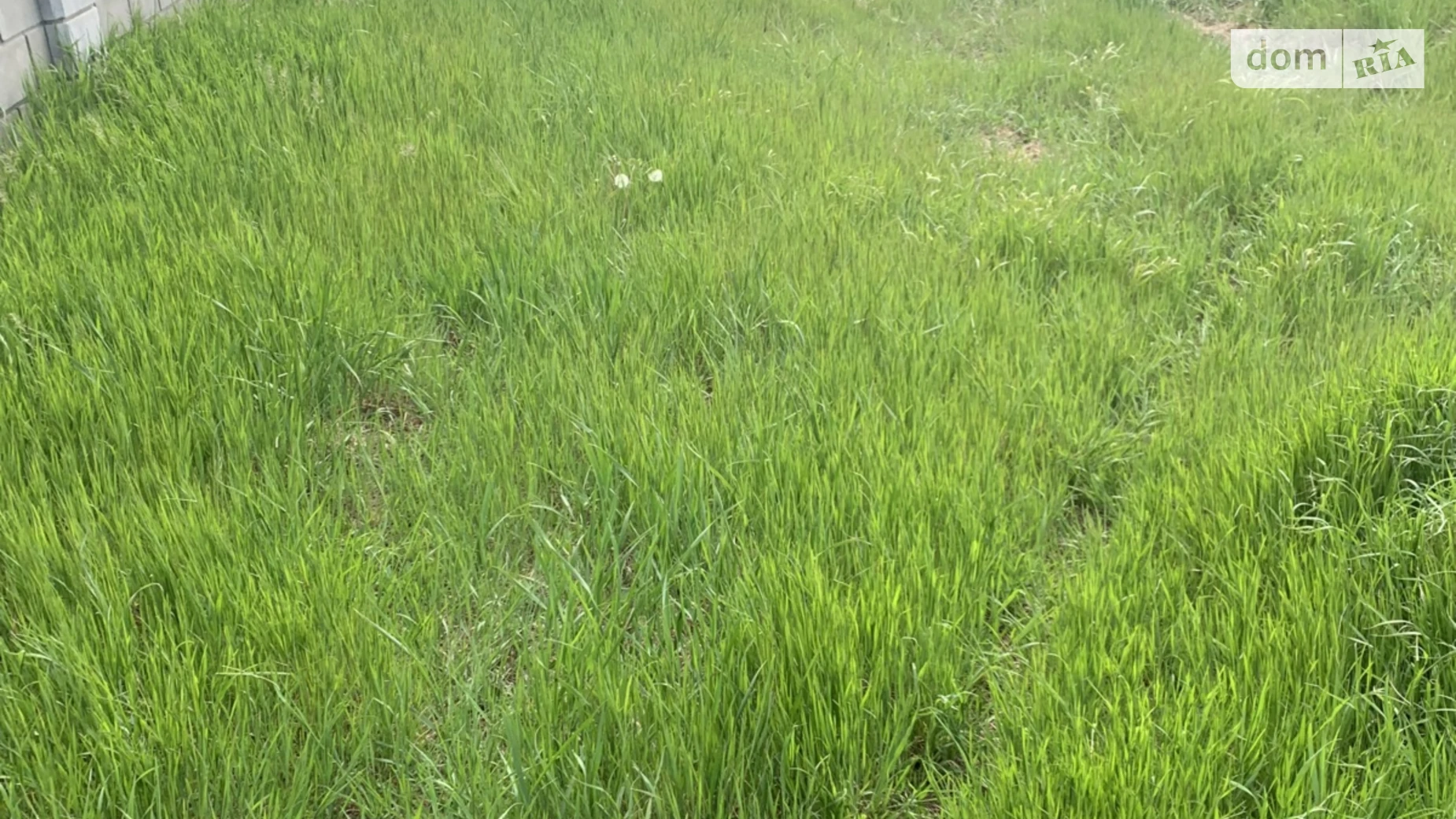 ул. Луговая 3-я Вапнярка, цена: 10000 $ - фото 4