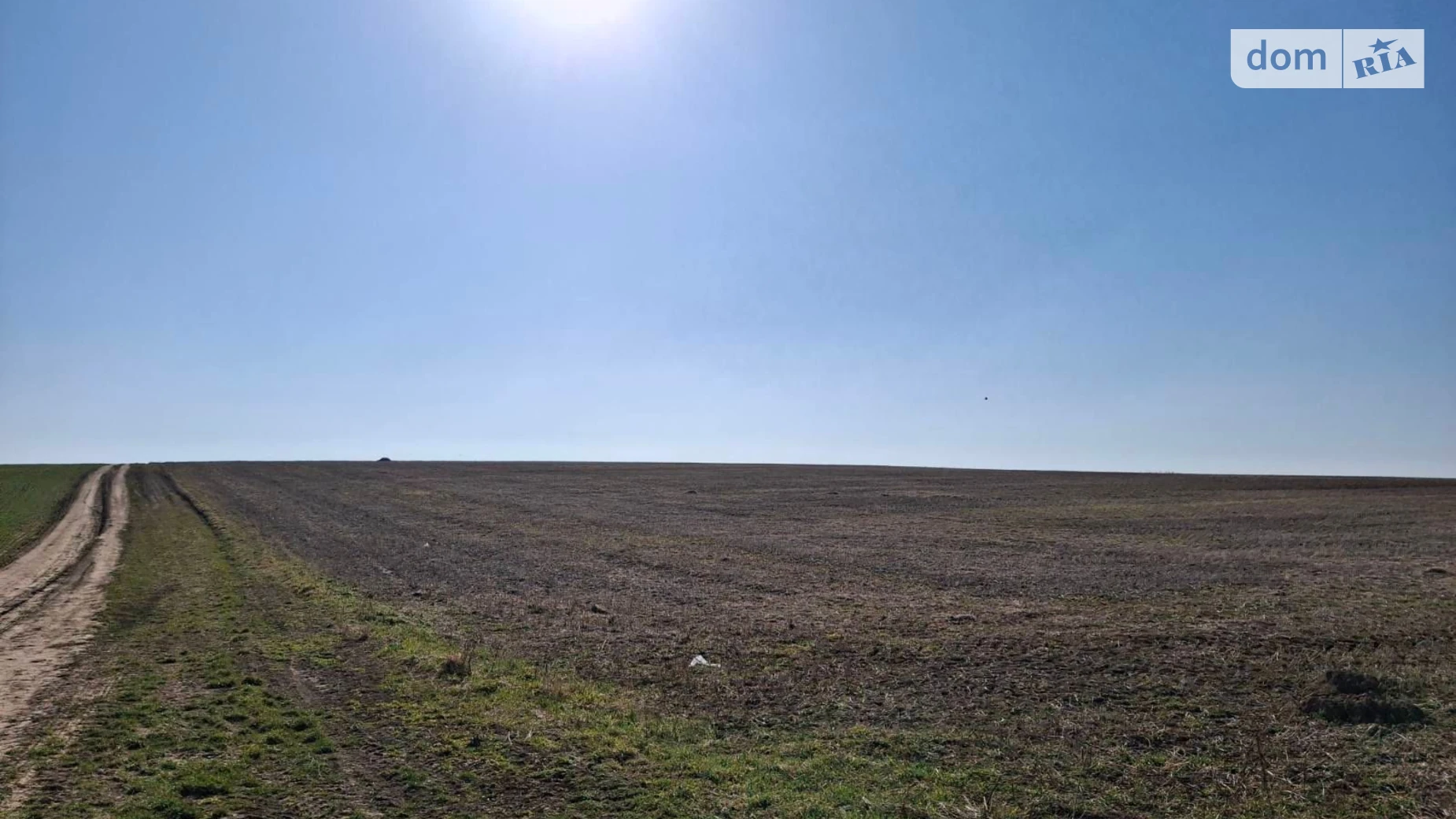 Тщенец, цена: 26708 грн - фото 2