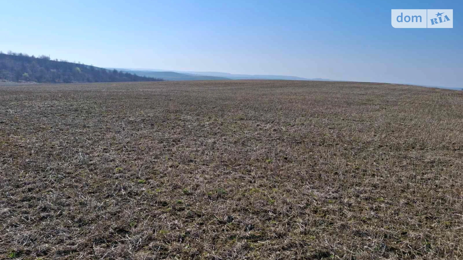 Тщенец, цена: 26708 грн - фото 3