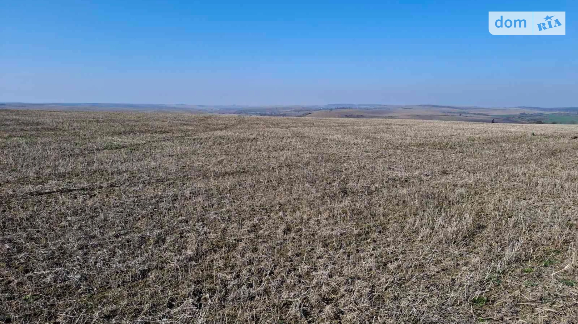 Тщенец, цена: 26708 грн - фото 4