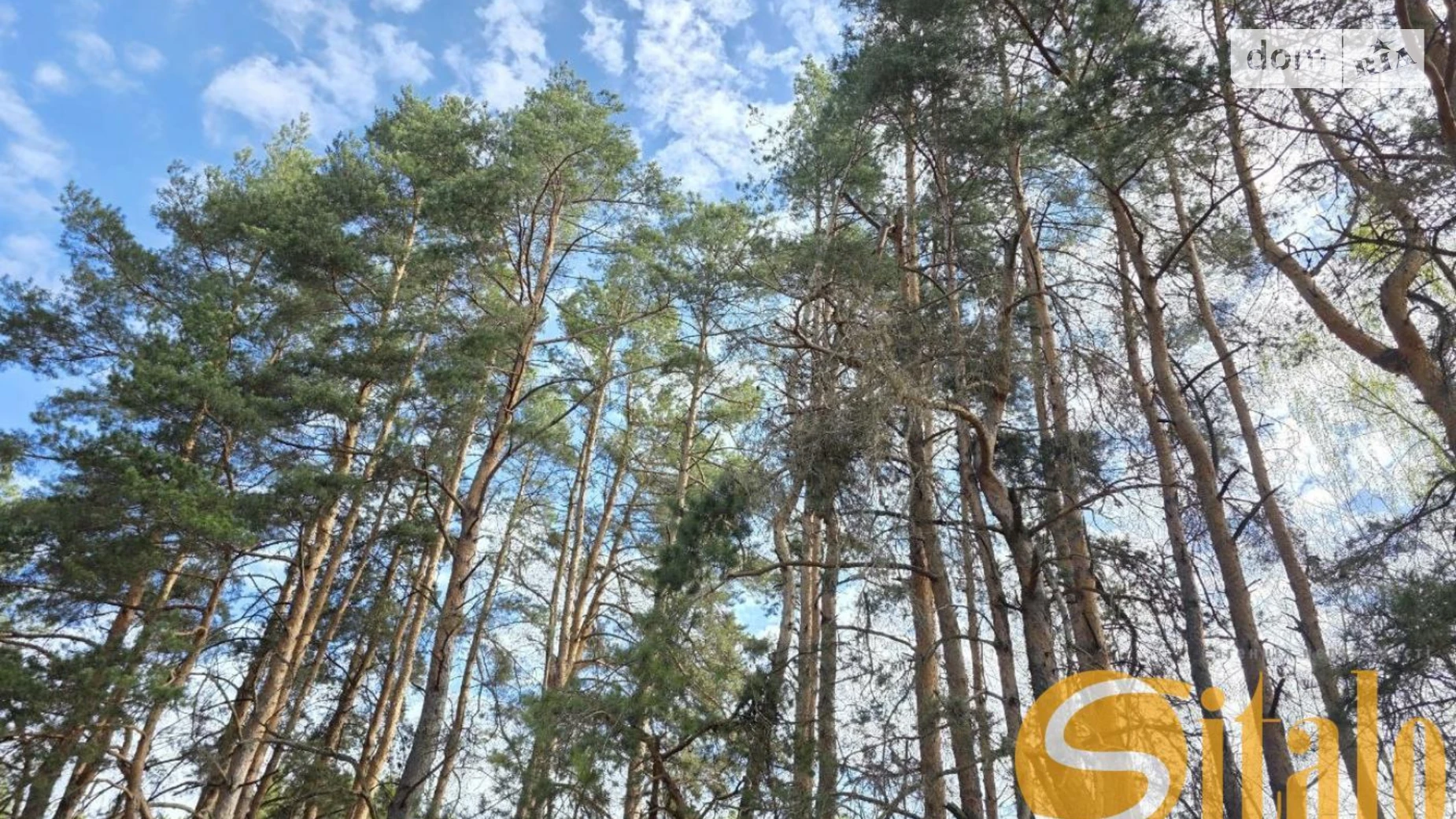 Стадники, цена: 350000 $ - фото 2