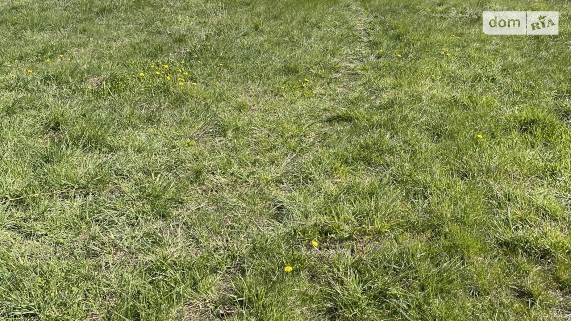 ул. Парковая Селище (Гниван), цена: 40000 $ - фото 5