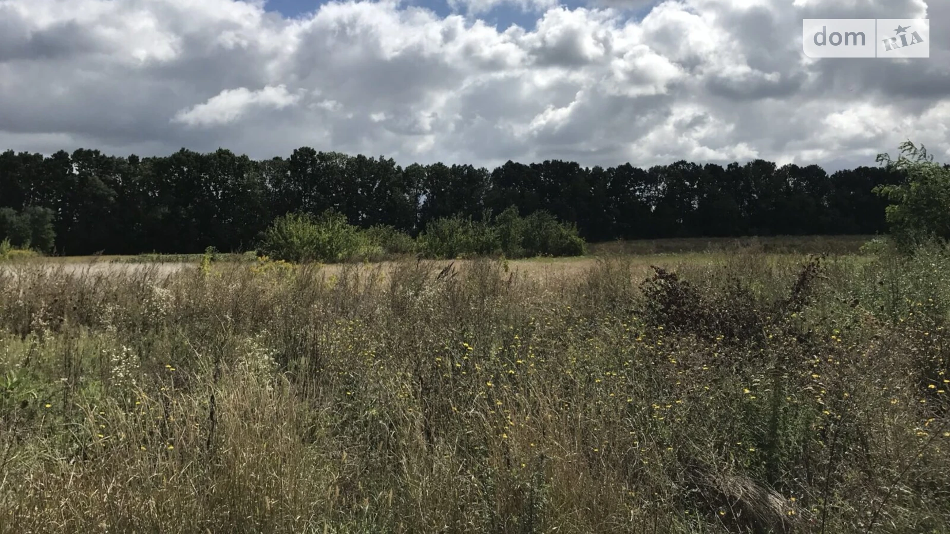 Продается земельный участок 19.98 соток в Винницкой области, цена: 65000 $ - фото 2