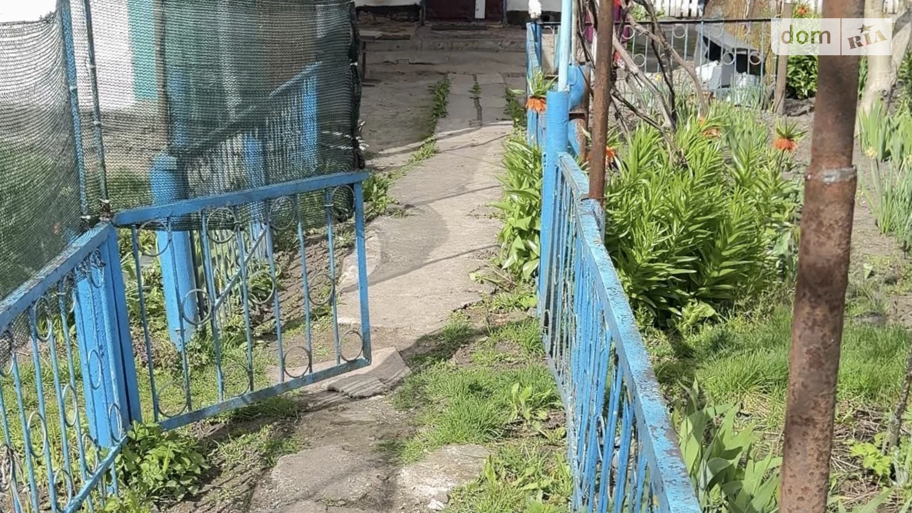 вулиця Кузенного Плоске (Тараща), цена: 10990 $ - фото 5