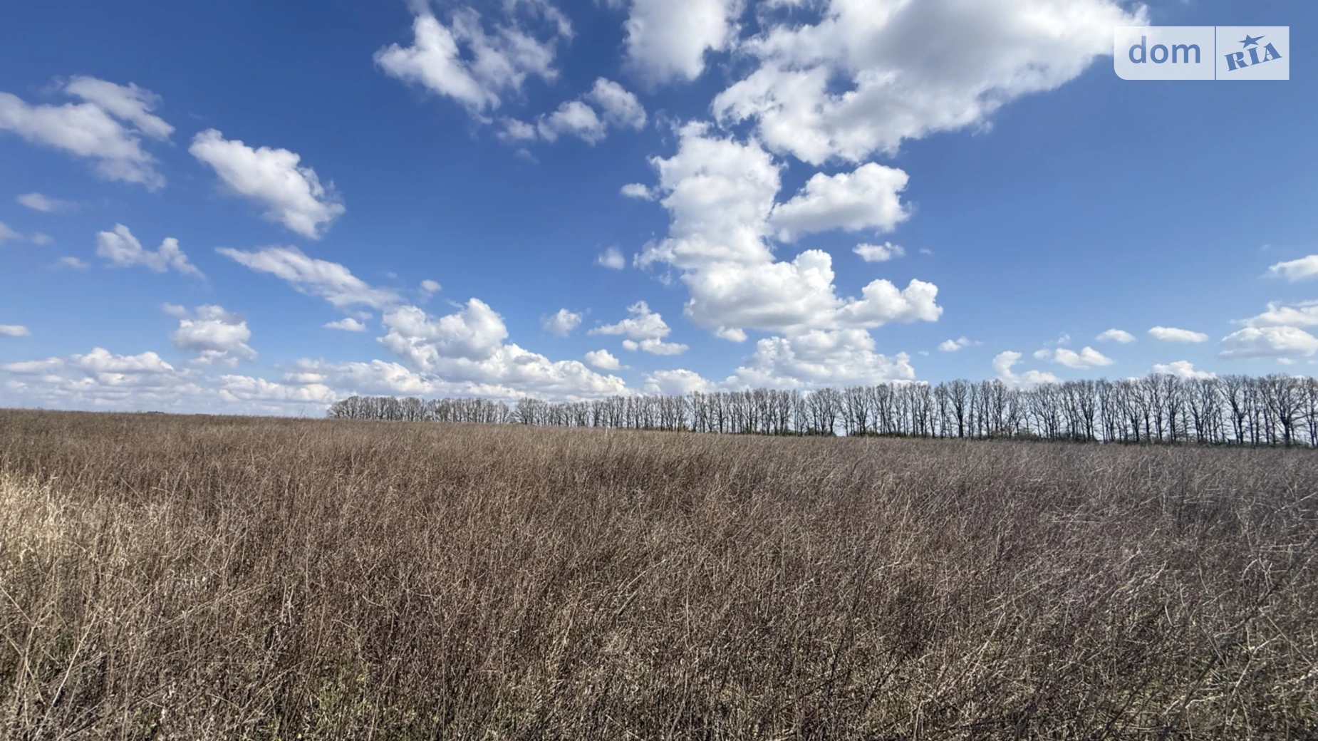 7-й пер. Леоніда Каденюка(Комарова) Агрономичное, цена: 17000 $ - фото 2